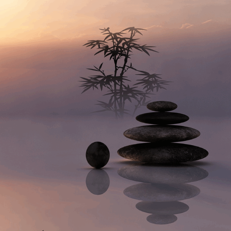 Image pour pause tendresse Image pour pause tendresse